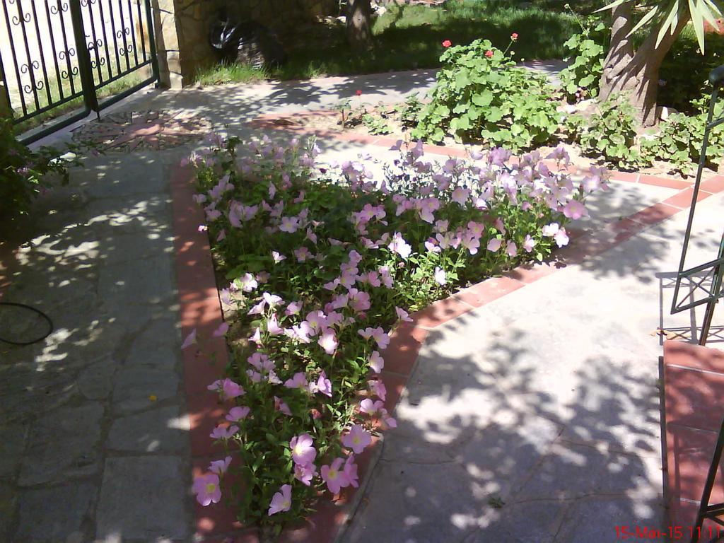 Natalia'S Apartments Nikiti  Exterior photo